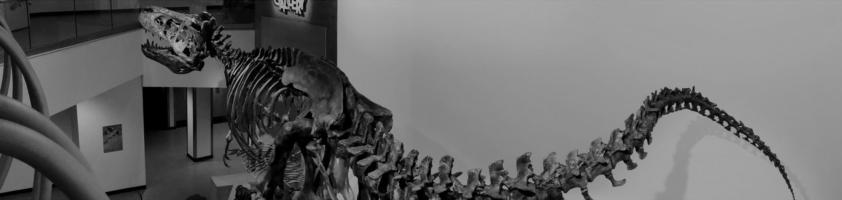 Page Banner Image